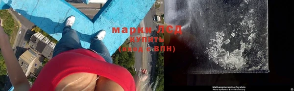 ПСИЛОЦИБИНОВЫЕ ГРИБЫ Наволоки