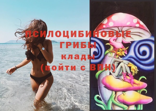 mdpv Надым